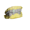 DripSavage (VVS Moissanite) - Image 2